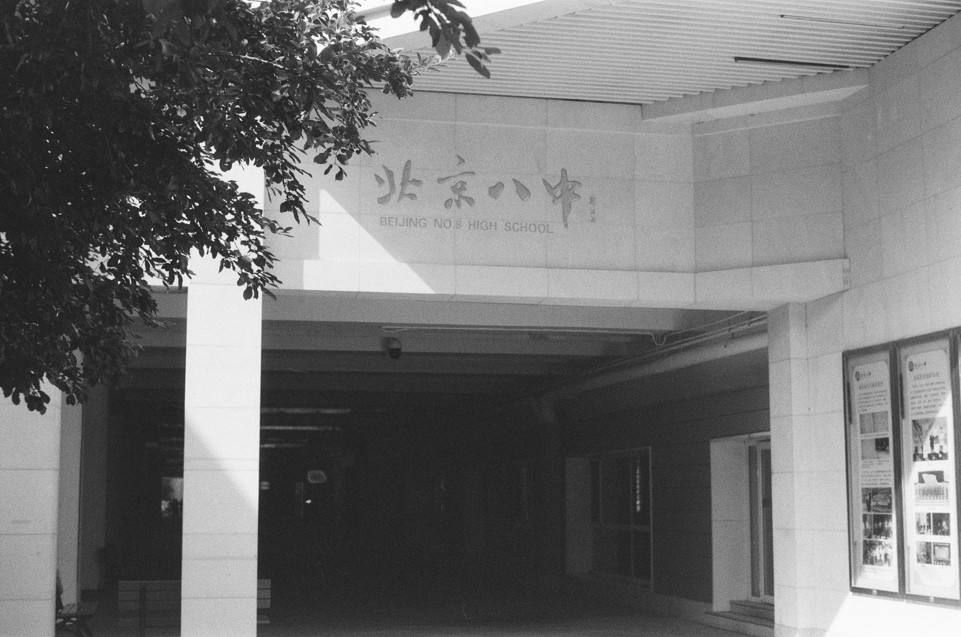 八中